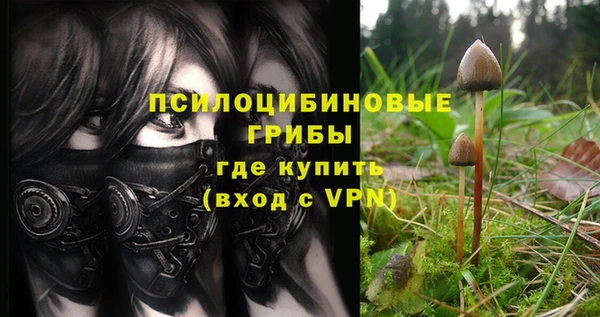 spice Алзамай