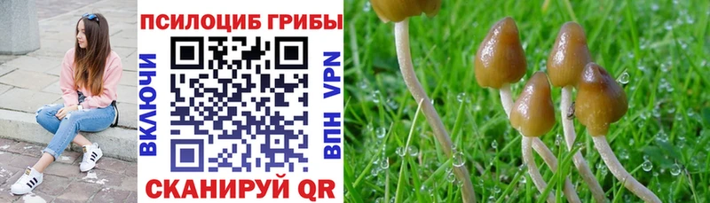 Галлюциногенные грибы GOLDEN TEACHER  Урай 
