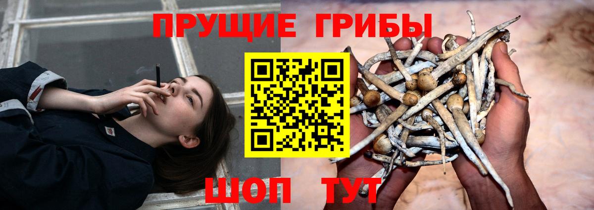 Галлюциногенные грибы Magic Shrooms Урай